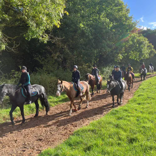  Horse Riding