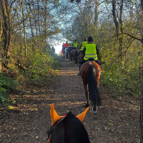  Horse Riding