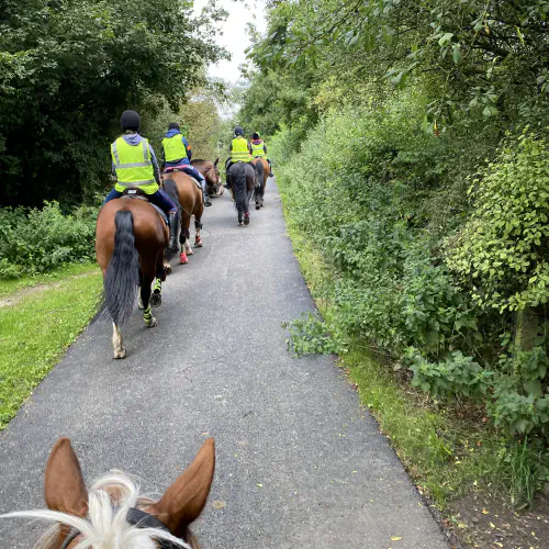  Horse Riding