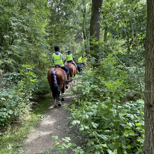  Horse Riding