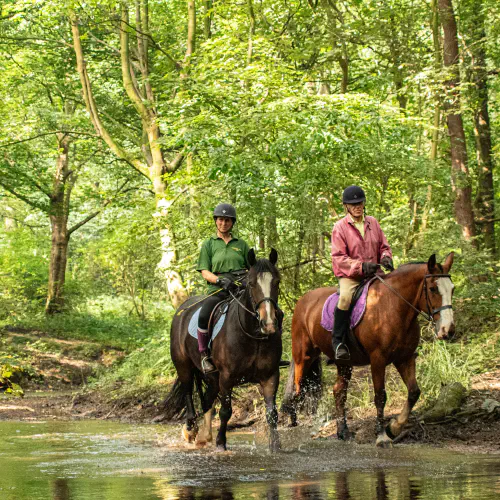  Horse Riding