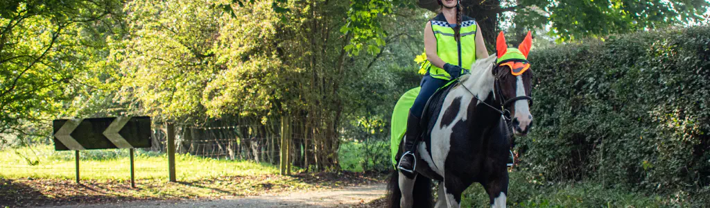 Horse Riding Lessons